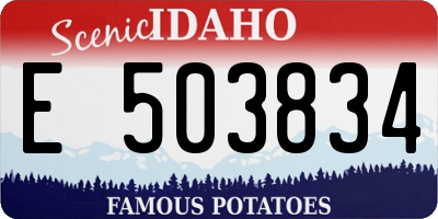 ID license plate E503834