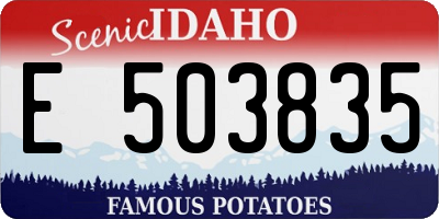 ID license plate E503835