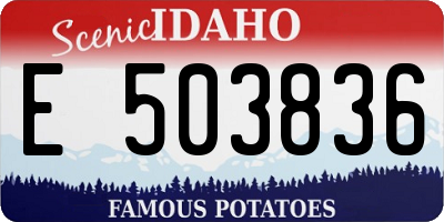 ID license plate E503836