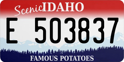 ID license plate E503837