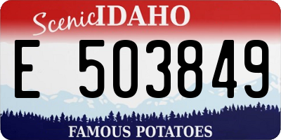 ID license plate E503849