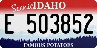 ID license plate E503852
