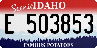 ID license plate E503853