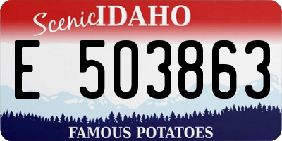 ID license plate E503863