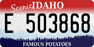 ID license plate E503868