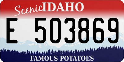 ID license plate E503869