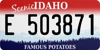 ID license plate E503871