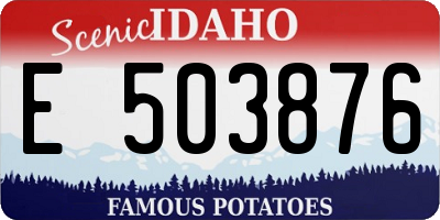 ID license plate E503876