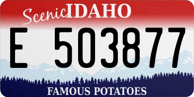ID license plate E503877