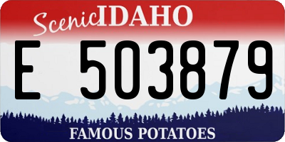 ID license plate E503879