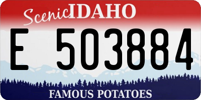 ID license plate E503884