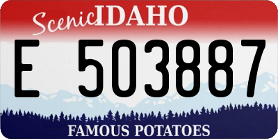 ID license plate E503887