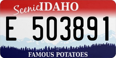 ID license plate E503891