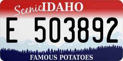 ID license plate E503892