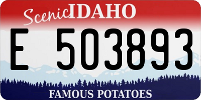 ID license plate E503893