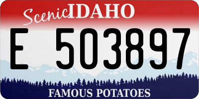 ID license plate E503897