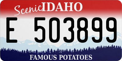 ID license plate E503899