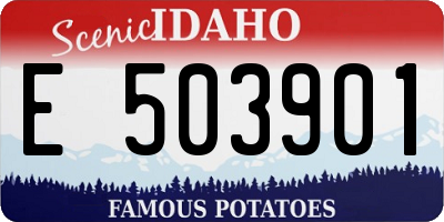 ID license plate E503901