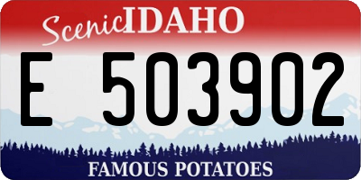 ID license plate E503902