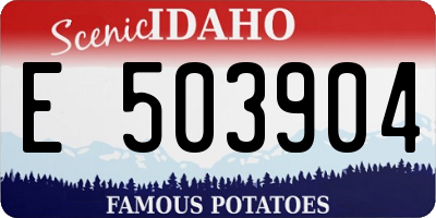 ID license plate E503904