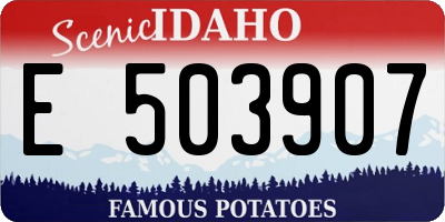 ID license plate E503907