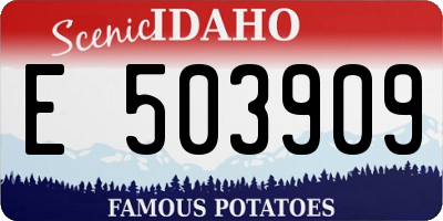 ID license plate E503909