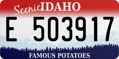 ID license plate E503917