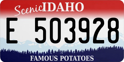 ID license plate E503928