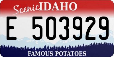 ID license plate E503929