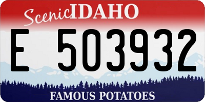 ID license plate E503932