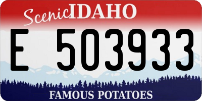 ID license plate E503933