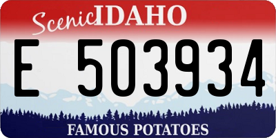 ID license plate E503934