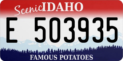 ID license plate E503935