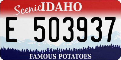 ID license plate E503937