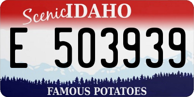 ID license plate E503939