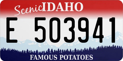 ID license plate E503941