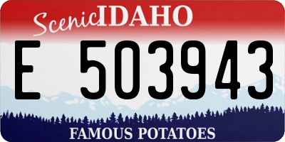 ID license plate E503943