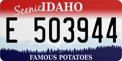 ID license plate E503944
