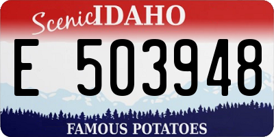 ID license plate E503948