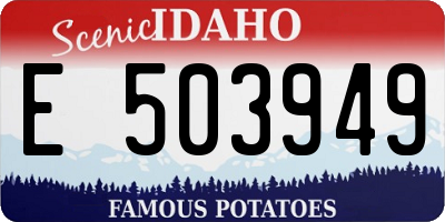 ID license plate E503949