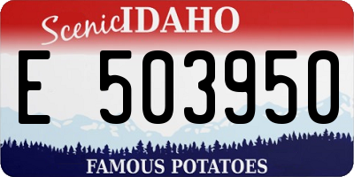 ID license plate E503950