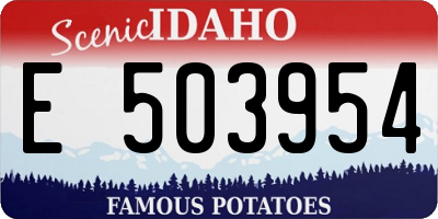 ID license plate E503954