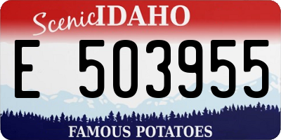 ID license plate E503955