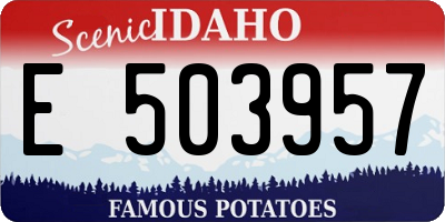 ID license plate E503957