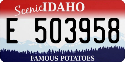 ID license plate E503958