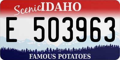 ID license plate E503963