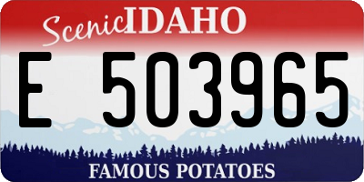 ID license plate E503965