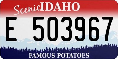 ID license plate E503967