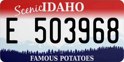 ID license plate E503968