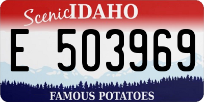 ID license plate E503969